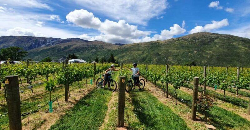 Queenstown: Guided E-Bike Tour with Winery Visits & Tastings - Final Thoughts: The Perfect Blend of Adventure and Authenticity