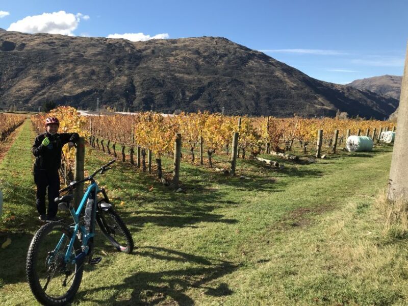 Queenstown: Guided E-Bike Tour with Winery Visits & Tastings - FAQ