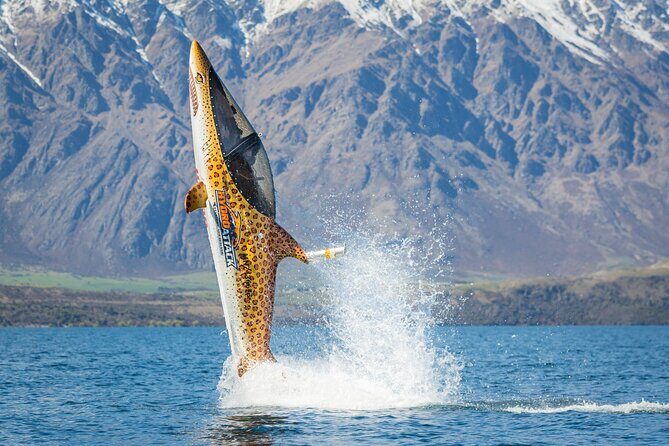 Queenstown Hydro Attack Shark Ride Adventure - The Value of Speed and Personalization