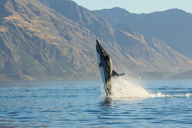 Queenstown Hydro Attack Shark Ride Adventure - Who Should Consider This?