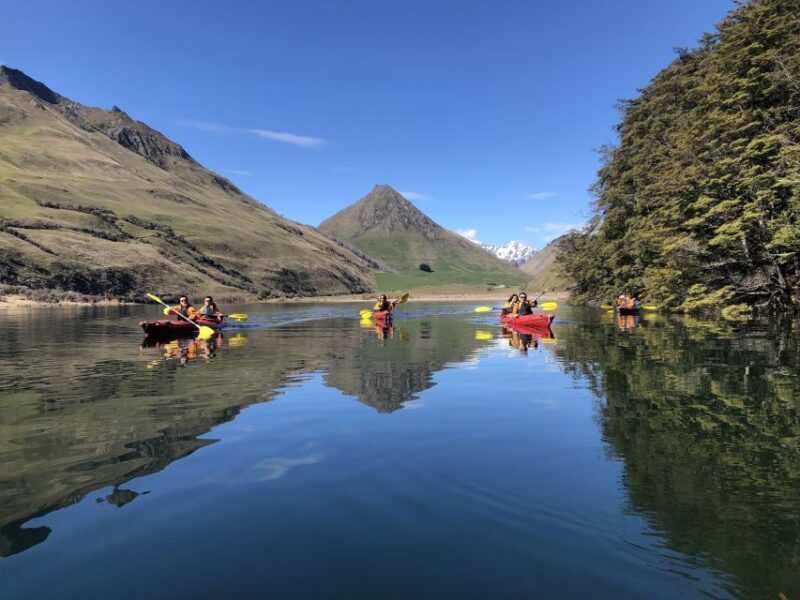 Queenstown: Kayaking or SUP Experience on Moke Lake - What Makes This Tour Stand Out