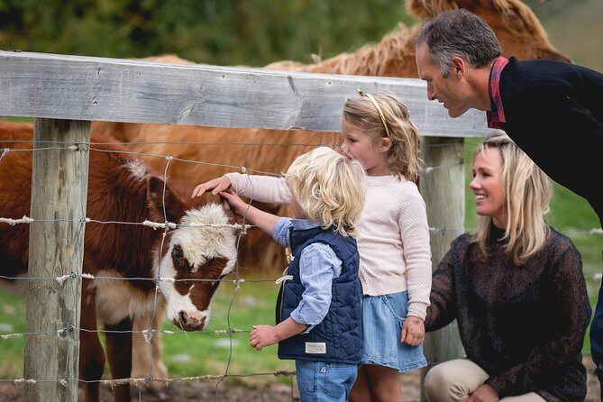 Queenstown Lake Cruise and Walter Peak Farm Adventure - The Sum Up