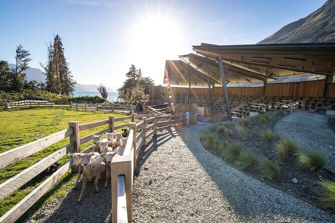 Queenstown Lake Cruise and Walter Peak Farm Adventure - FAQ
