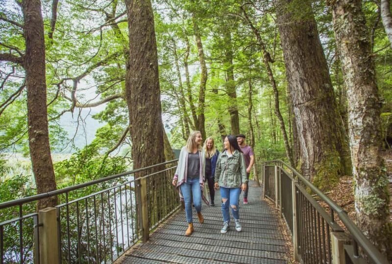 Queenstown: Milford Sound Coach & Cruise Full-Day Trip - An In-Depth Look at the Milford Sound Day Trip