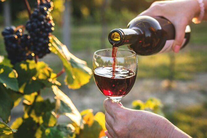 Queenstown More Than A Wine Tour - The Sum Up