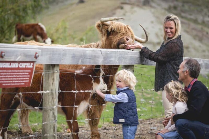 Queenstown: Queenstown Lake Cruise and Walter Peak Farm Tour - An In-Depth Look at the Queenstown Lake Cruise and Walter Peak Farm Tour