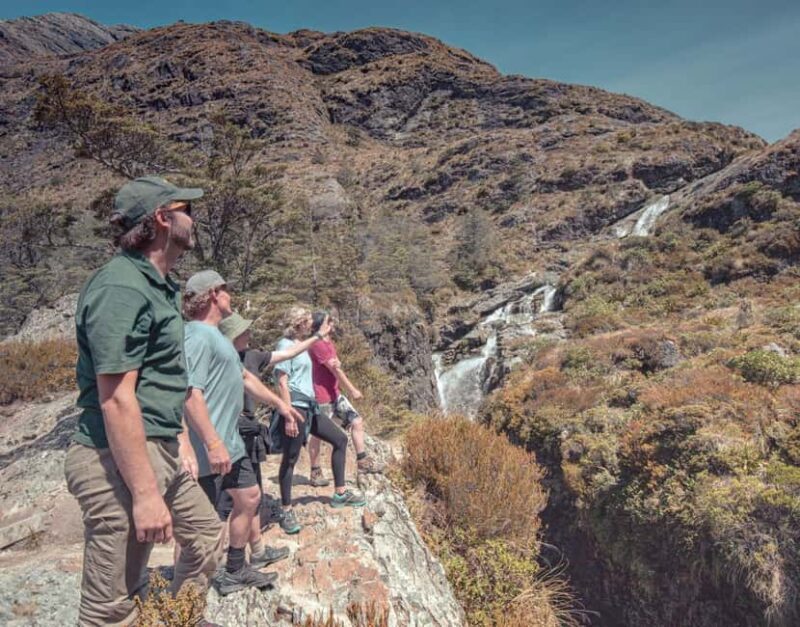 Queenstown: Routeburn Track Guided Full-Day Walk or Half Day - An Authentic Taste of New Zealand’s Wilderness