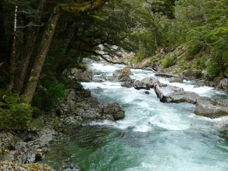 Queenstown: Routeburn Track Guided Full-Day Walk or Half Day - Who Should Book This Tour?