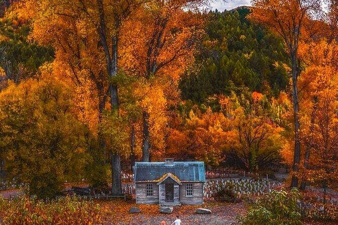 Queenstown to Christchurch One Way Tour Via Lake Tekapo & Mt Cook - The Experience in Detail