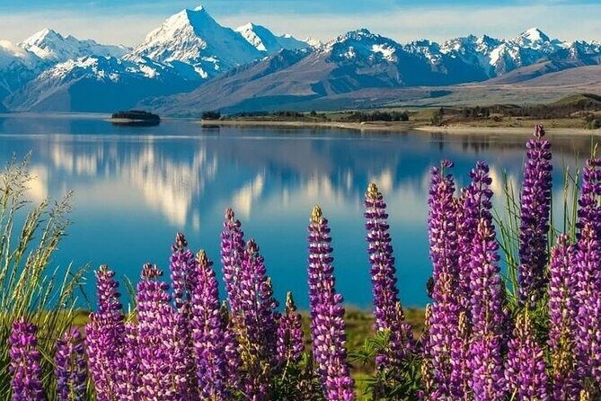 Queenstown to Christchurch One Way Tour Via Lake Tekapo & Mt Cook - Final Thoughts