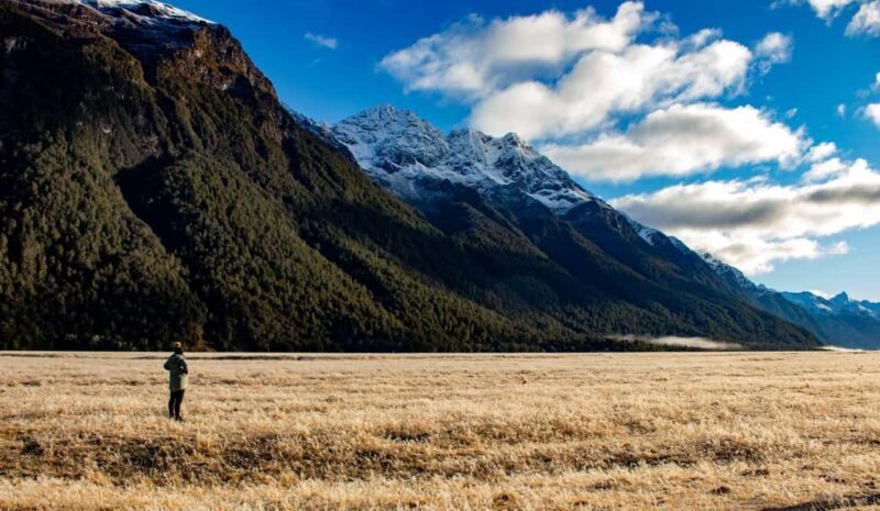 Queenstown to Te Anau via Milford Sound inc Cruise & Lunch - What the Reviews Say
