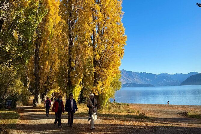 Queenstown to Wanaka One Way Small Group Tour - In-Depth Review of the Queenstown to Wanaka Small Group Tour