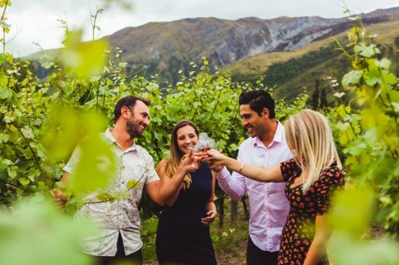 Queenstown: Twilight Wine and Craft Beer Tour - An In-Depth Look at the Queenstown Twilight Tour