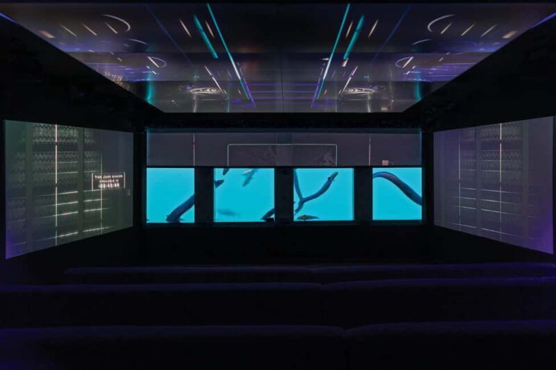 Queenstown: Underwater Theatre Experience Entry Ticket - The Sum Up: Who Will Love This Tour?
