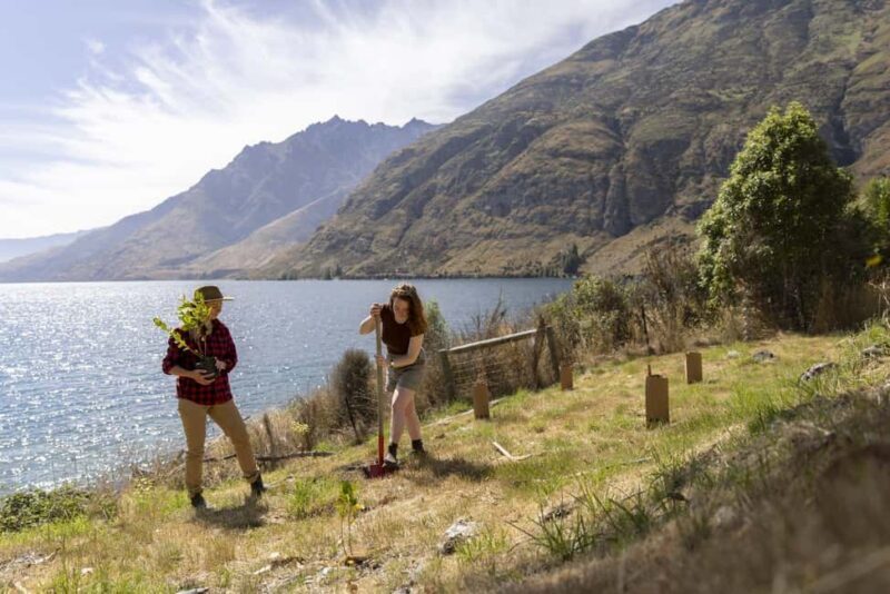 Queenstown: Walter Peak Garden to Table Experience - A Closer Look at the Queenstown: Walter Peak Garden to Table Experience