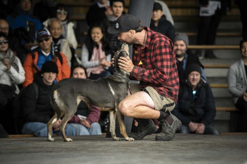 Queenstown: Walter Peak Gourmet BBQ & Lake Whakatipu Cruise - Final Thoughts