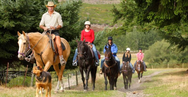 Queenstown: Walter Peak Horse Trek & Queenstown Lake Cruise - A Detailed Look at the Experience