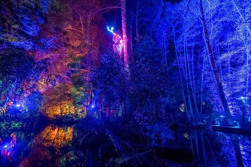 Queenstown: Whimsical Sensory Night Walk at LUMA Enchanted - A Deep Dive into the LUMA Enchanted Experience