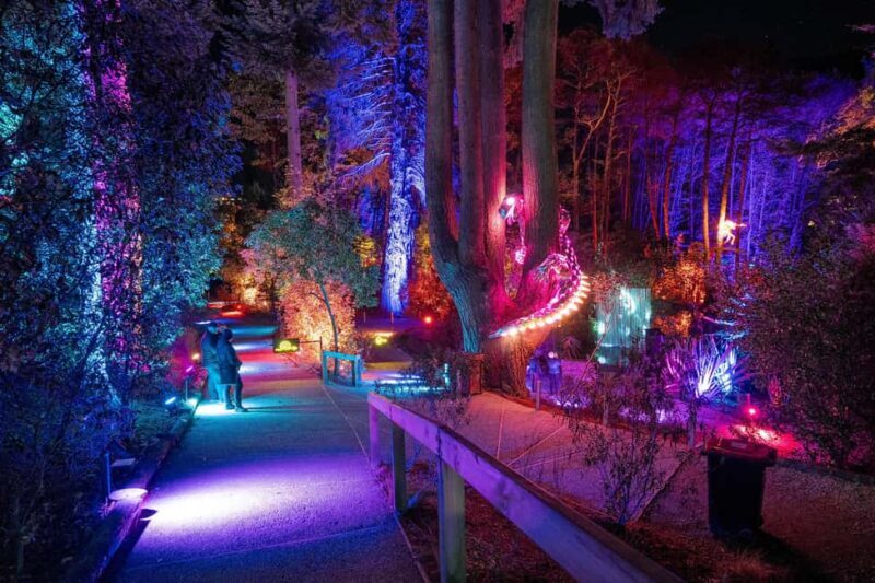Queenstown: Whimsical Sensory Night Walk at LUMA Enchanted - Frequently Asked Questions