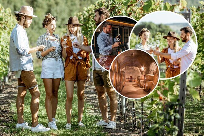 Queenstown Wine Tour with Wine Dog | Adults Only - Exploring the Queenstown Wine Tour with Wine Dog in Depth