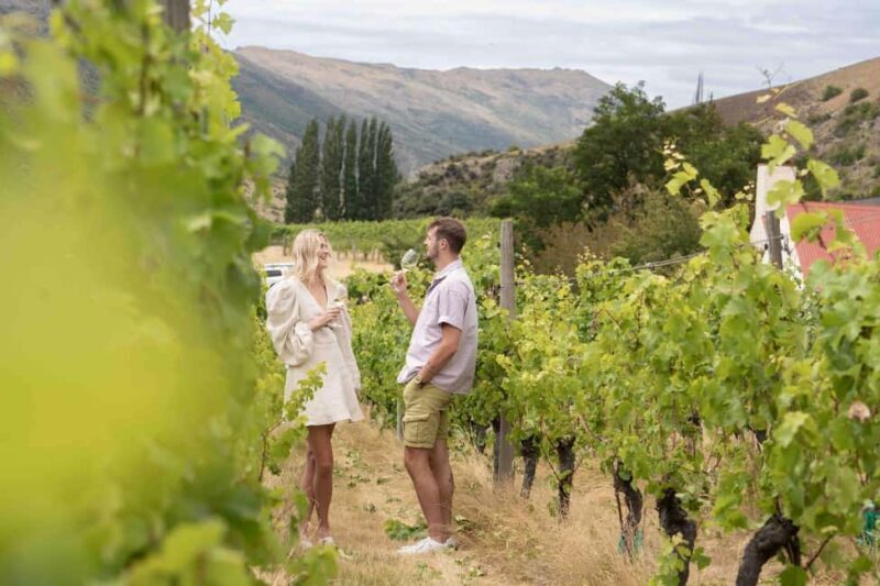 Queenstown's Original Wine Tour Celebrating 33 Years - An In-Depth Look at Queenstown’s Original Wine Tour
