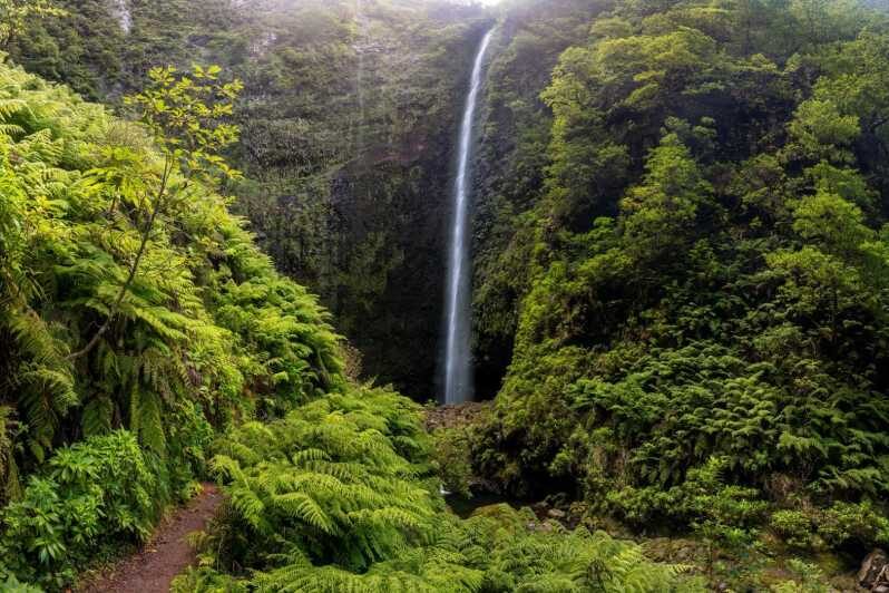 Queimadas Caldeirão Verde Madeira Island Walk - Exploring the Madeira Island Walk Experience
