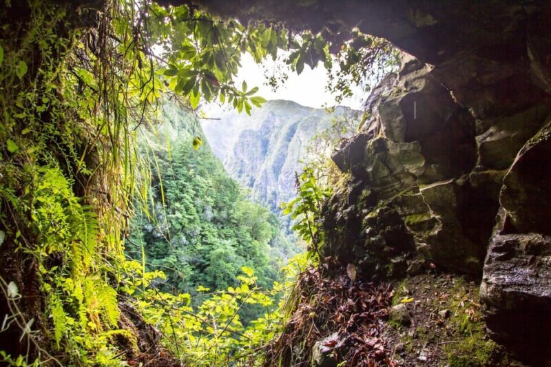 Queimadas Caldeirão Verde Madeira Island Walk - Who Will Love This Tour?
