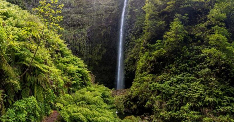 Queimadas Caldeirão Verde Madeira Island Walk - FAQ