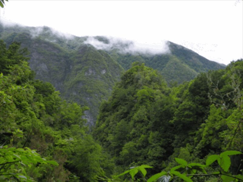 Queimadas Caldeirão Verde Walking tour with guide - Queimadas Caldeirão Verde Walking Tour with Guide: A Detailed Look