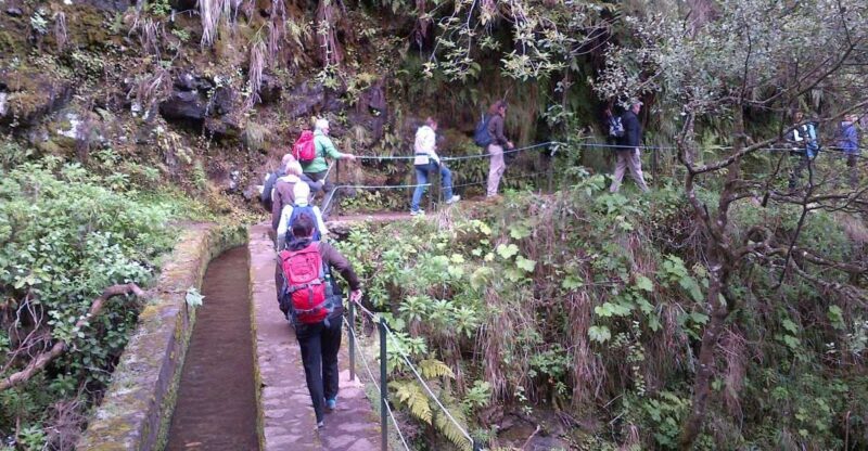 Queimadas Natural Park 5-Hour Guided Hike - Key Points