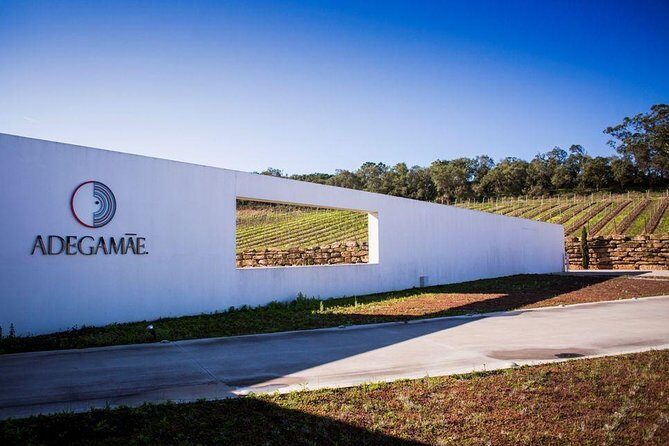 Queluz / Mafra / Ericeira / Adega Mãe Private tour - Who Should Consider This Tour?
