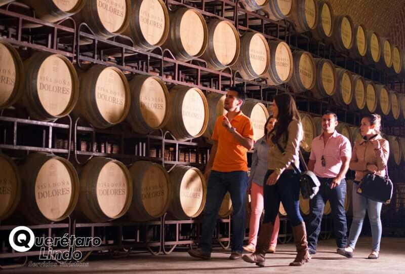 Querétaro: Art, Cheese and Wine Route - Authentic Experiences and Authenticity