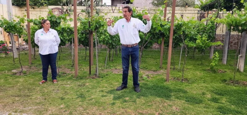 Querétaro: Bernal & Tequisquiapan Trip with Wine & Cheese - Who Is This Tour Best For?