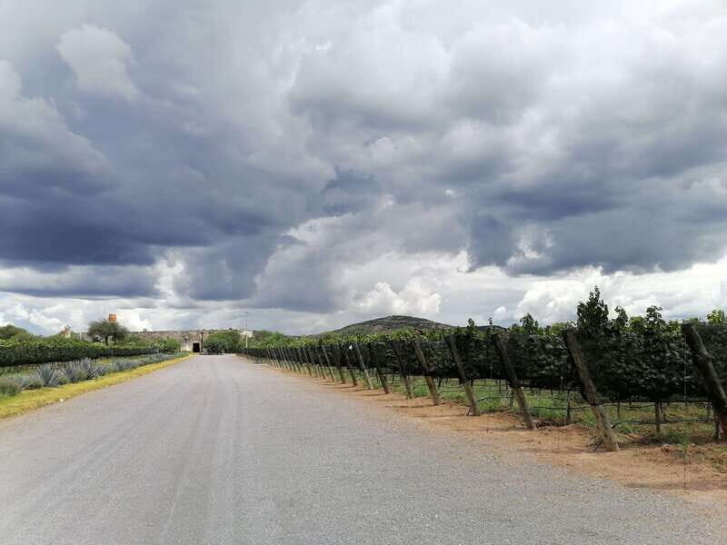 Querétaro: Hacienda Atongo Experience Tour - The Historic Setting