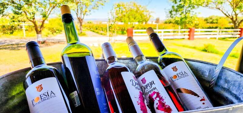 Querétaro: Haciendas, Vineyards, and Magical Towns Day Trip - Who Is This Tour Best For?