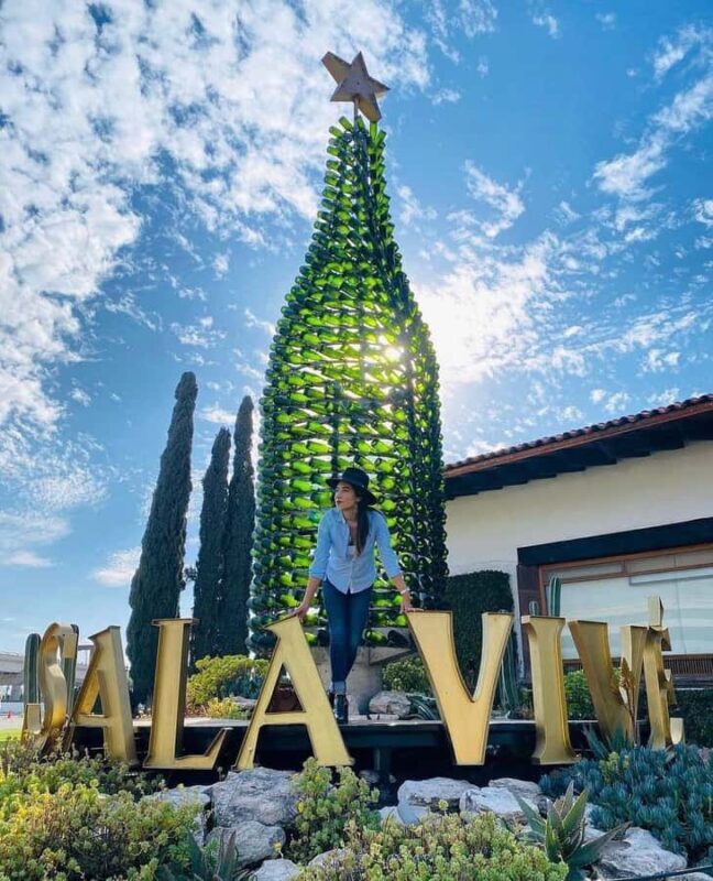 Querétaro: Peña de Bernal y Cavas de Freixenet - Return Journey