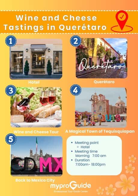 Querétaro: Wine and Cheese Tastings (ENG/CH Private/Join) - The Sum Up