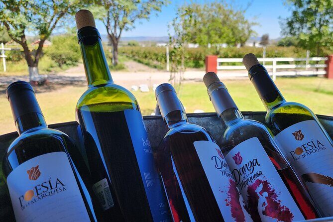Queretaro Wine Route and Magic Towns - A Detailed Look at the Queretaro Wine Route and Magic Towns Tour