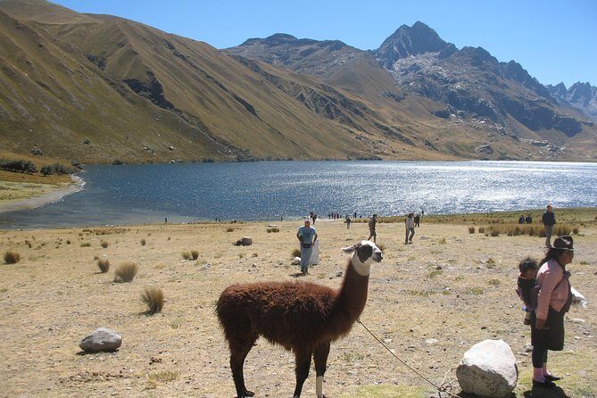 Querococha Lake and Chavin Ruins and from Huaraz - The Practicalities: What You Need to Know