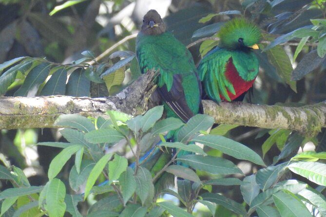 Quetzal tour on lake atitlan - Key Points