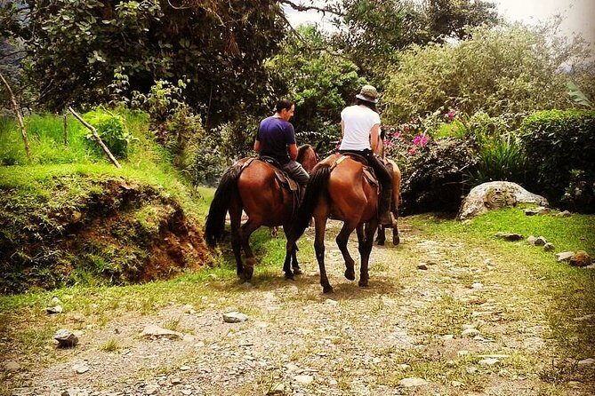 Queveri Horseback Riding Tours - Final Thoughts: Who is This Tour Best For?