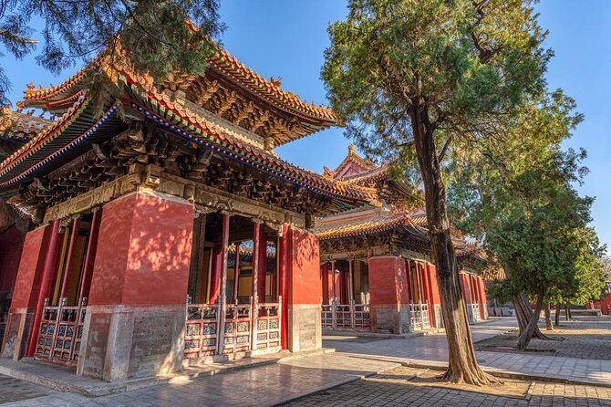 Qufu Private Walking Tour to Confucius Temple, Kong Mansion and Forest - Key Points