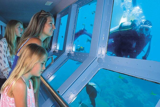Quicksilver Great Barrier Reef Snorkel Cruise from Port Douglas - Final Thoughts: Who Should Book This Tour?