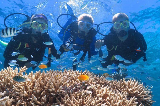 Quicksilver Great Barrier Reef Snorkel Cruise from Port Douglas - FAQs about Quicksilver’s Great Barrier Reef Tour