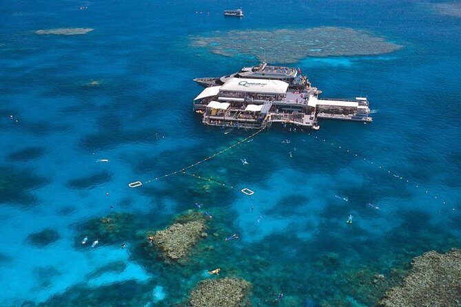 Quicksilver Outer Great Barrier Reef Snorkel Cruise from Palm Cove - Discover the Great Barrier Reef: Quicksilver Outer Reef Snorkel Cruise from Palm Cove