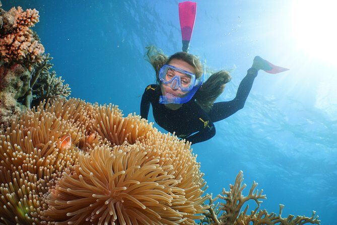 Quicksilver Outer Great Barrier Reef Snorkel Cruise from Palm Cove - Who Should Book This Tour?