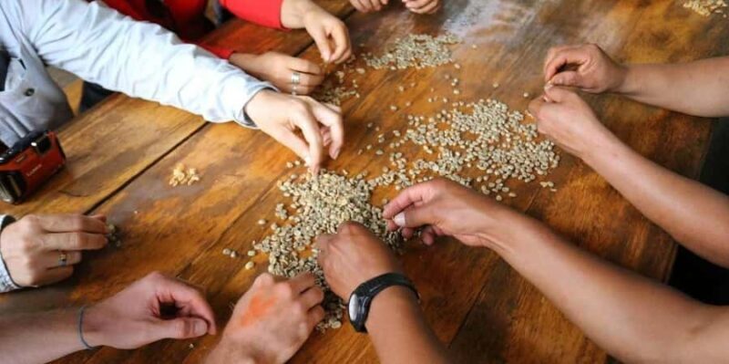 Quillabamba 2 Day Cocoa Private Trip - The Final Day: Return or Continue Your Adventure