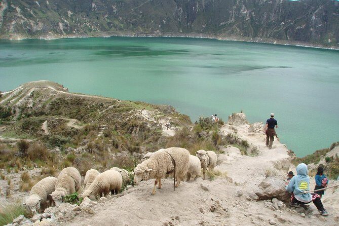 Quilotoa Lagoon and Volcanoes Avenue Day Trip with Entrances - Discovering Ecuador’s Volcanoes and Indigenous Culture
