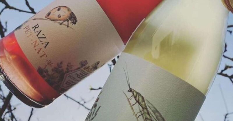 Quinta da Raza Natural Wines - Key Points