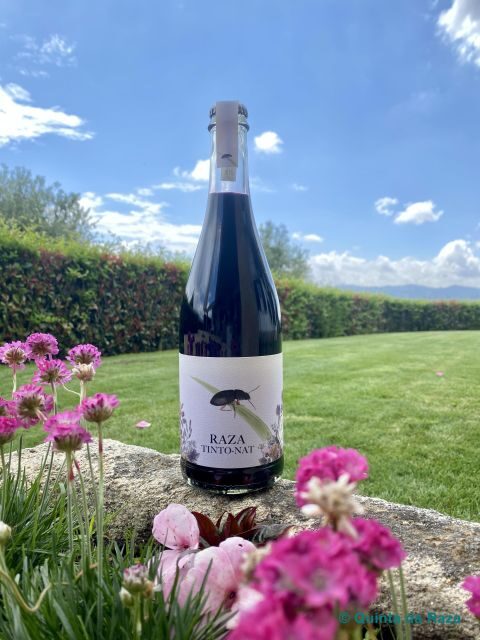 Quinta da Raza Natural Wines - Practical Details: What to Expect